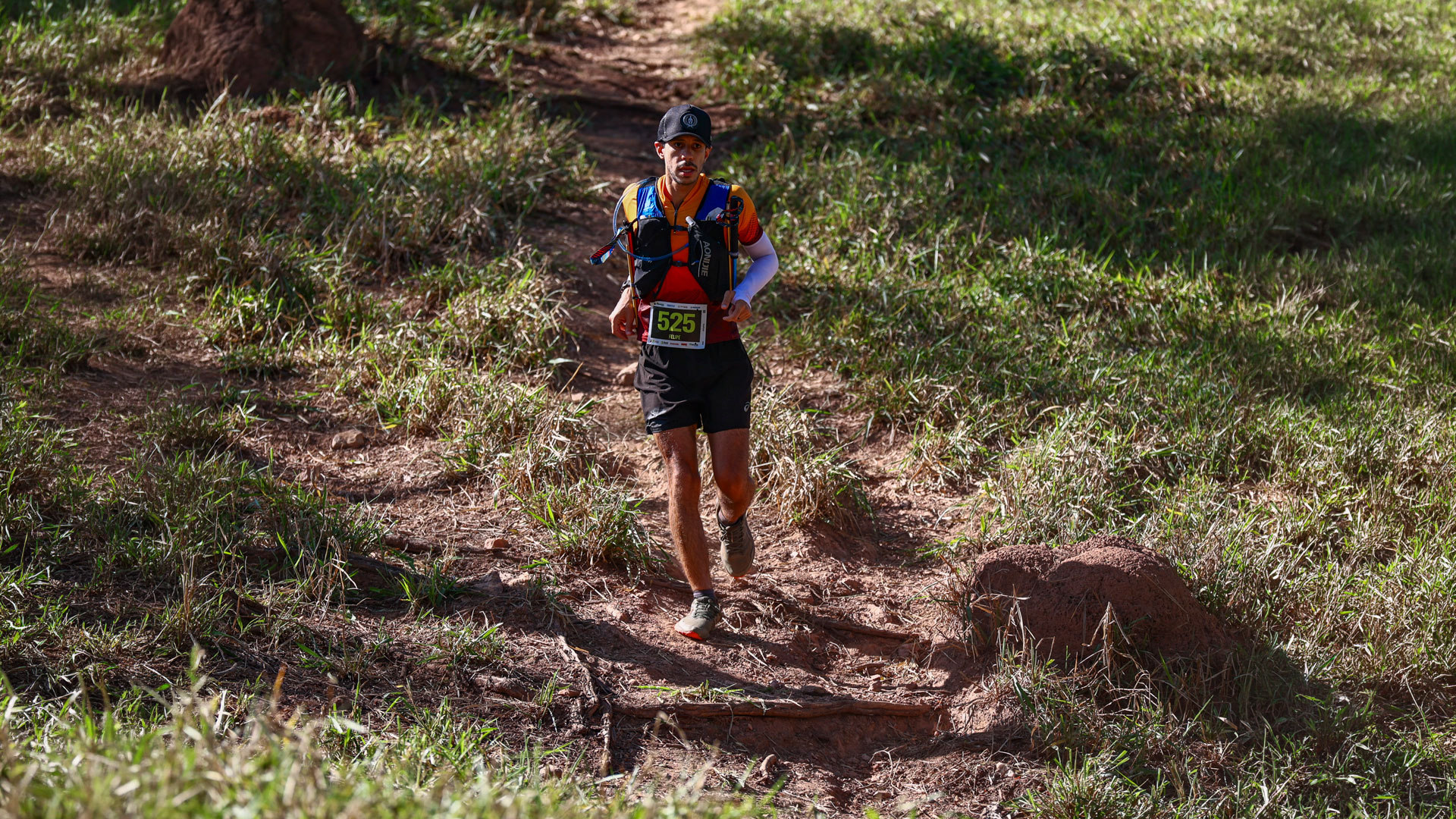 Cerrado Trail